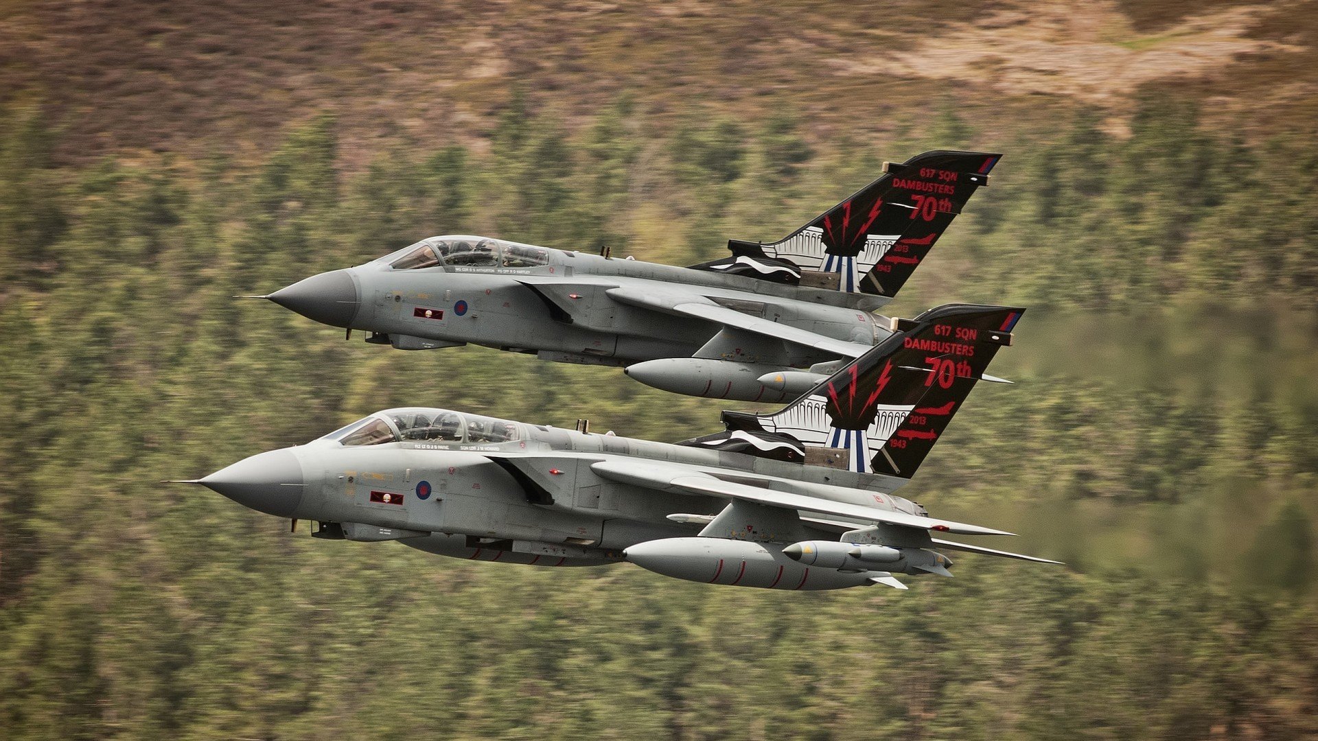 “智慧场馆+绿色基础”深度融合，行业基础设施不断完善升级，智慧场馆解决方案