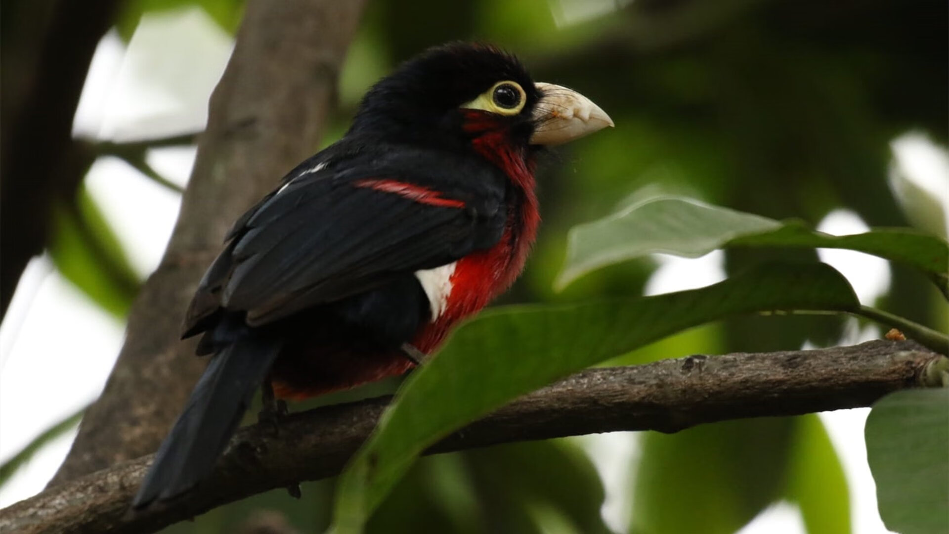 “逆境中的英雄：车手在极端天气中勇往直前”