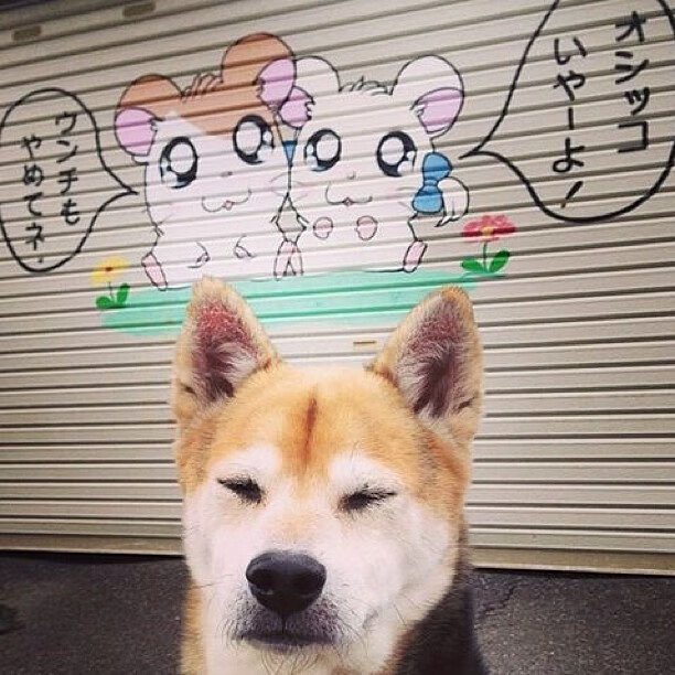 《AI裁判在比赛中的应用：提升公平性与效率》，ai裁判最早应用于哪年世界体操