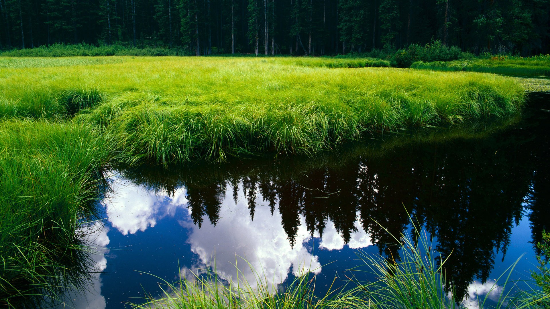 各路豪杰齐聚一堂，年度顶级赛事火热举行，各路豪杰汇聚于此